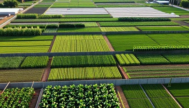 ERP系统实施后使用与维护的关键实践